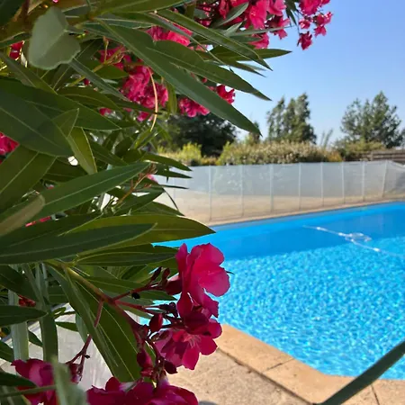 Villa Grande Capacité 15 Personnes